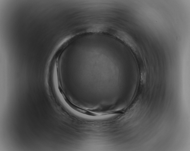 X0000094220724200711161848