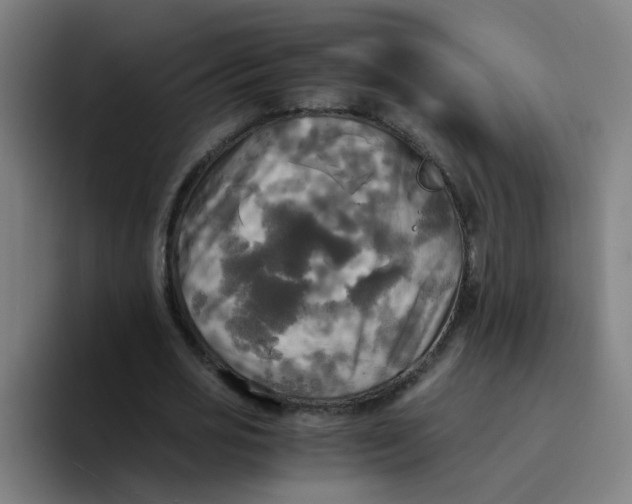 X0000094220725200711161848