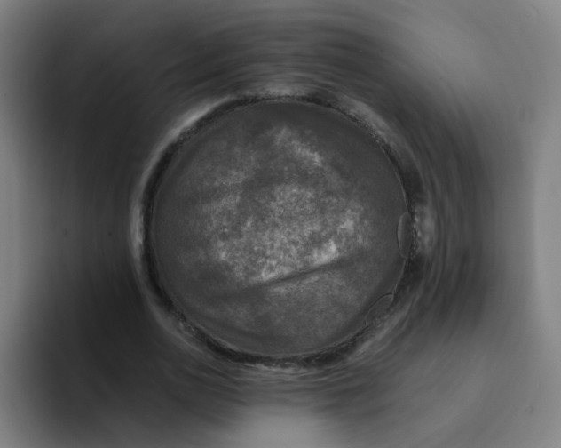 X0000094220726200711161848