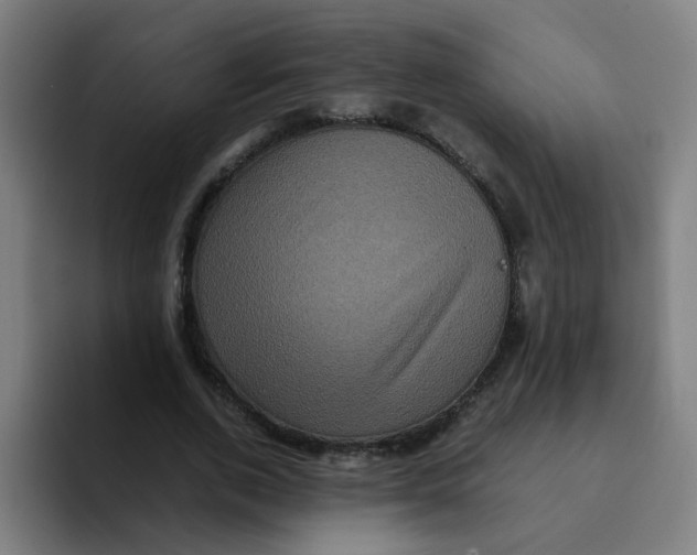 X0000094220728200711161848