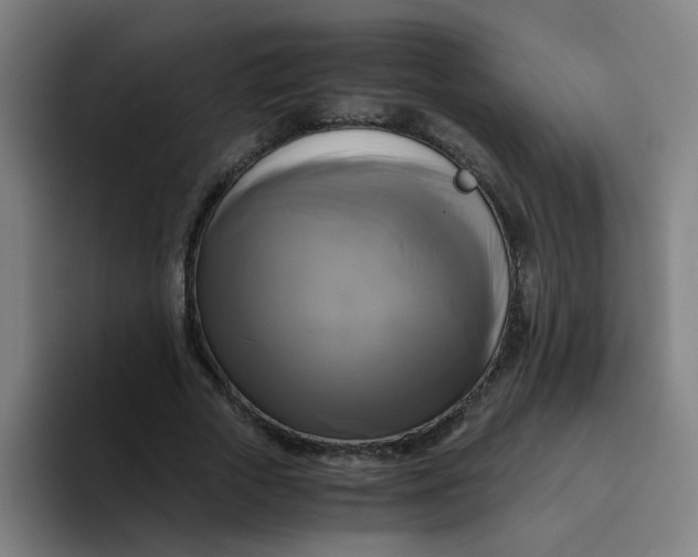 X0000094220729200711161848