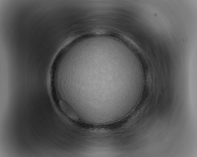 X0000094220730200711161848