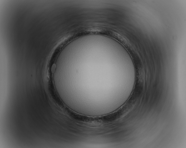 X0000094220731200711161848