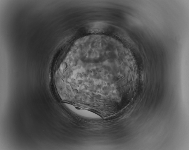 X0000094220733200711161848