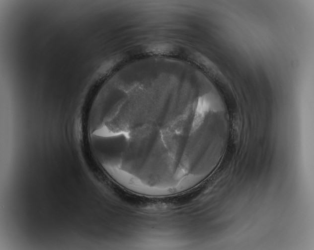 X0000094220734200711161848