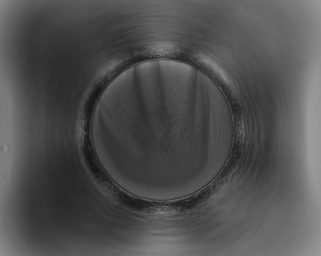 X0000094220736200711161848