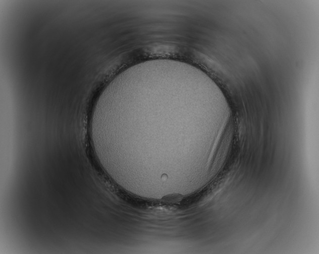 X0000094220737200711161848