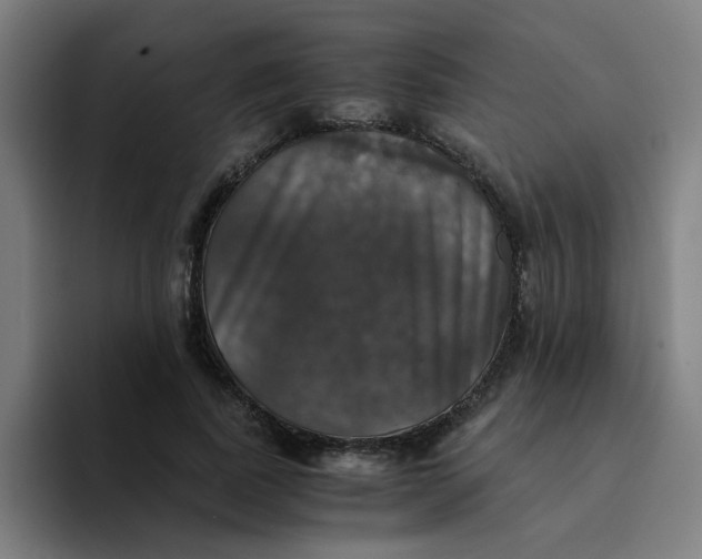 X0000094220739200711161848