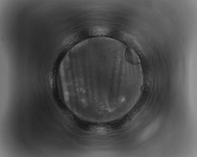 X0000094220743200711161848