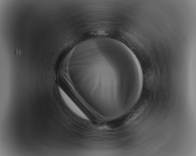 X0000094220747200711161848