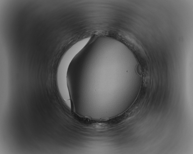 X0000094220748200711161848