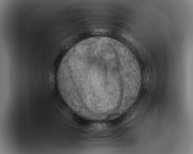 X0000094220749200711161848