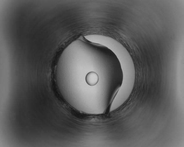 X0000094220750200711161848