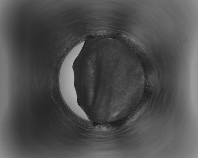 X0000094220751200711161848