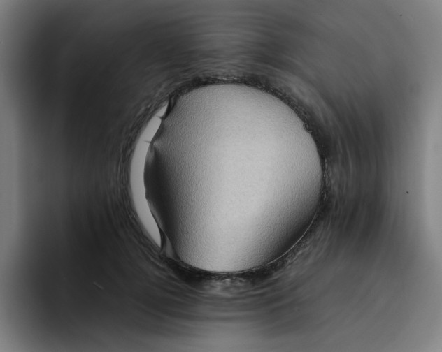 X0000094220752200711161848