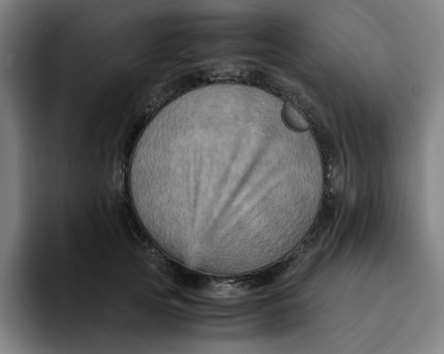 X0000094220753200711161848