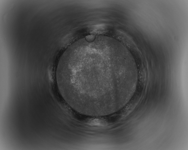 X0000094220755200711161848