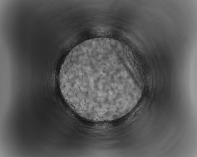 X0000094220757200711161849