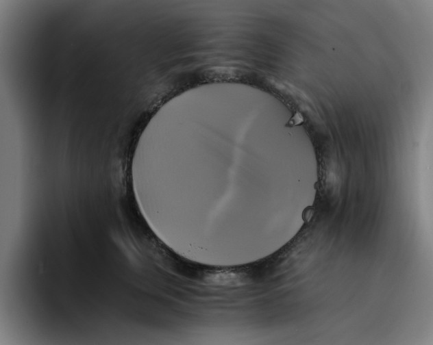 X0000094220759200711161849