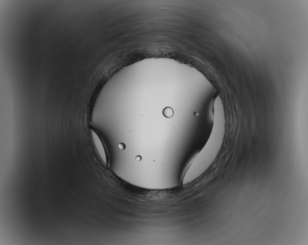 X0000094220762200711161849