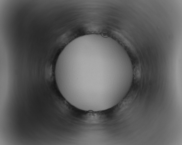 X0000094220764200711161849