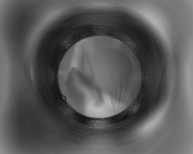 X0000094220765200711161849