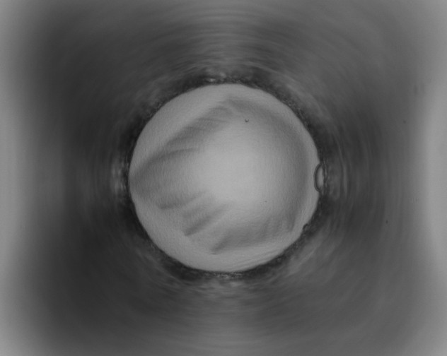 X0000094220770200711161848