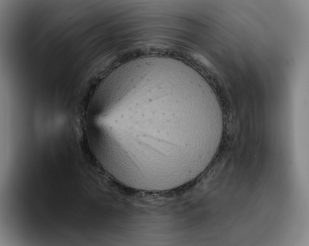 X0000094220774200711161848