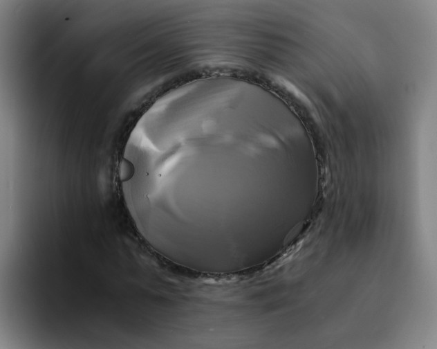 X0000094220775200711161848