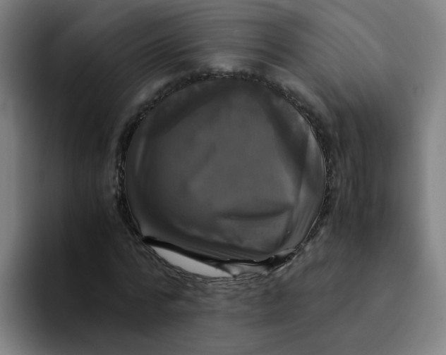 X0000094220776200711161848