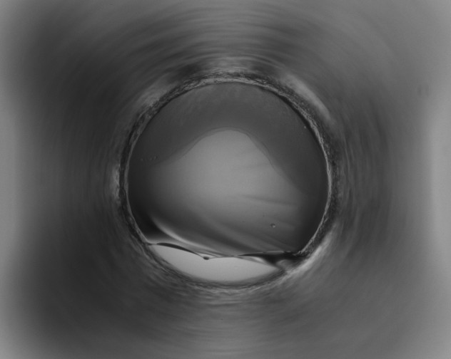 X0000094220777200711161848