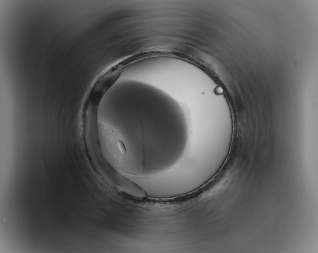 X0000094220779200711161848