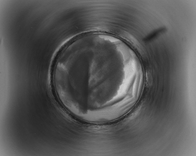 X0000094220780200711161848