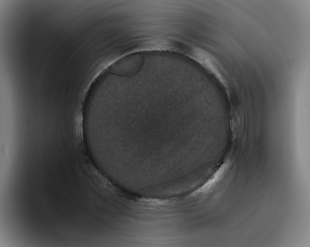 X0000094220781200711161848