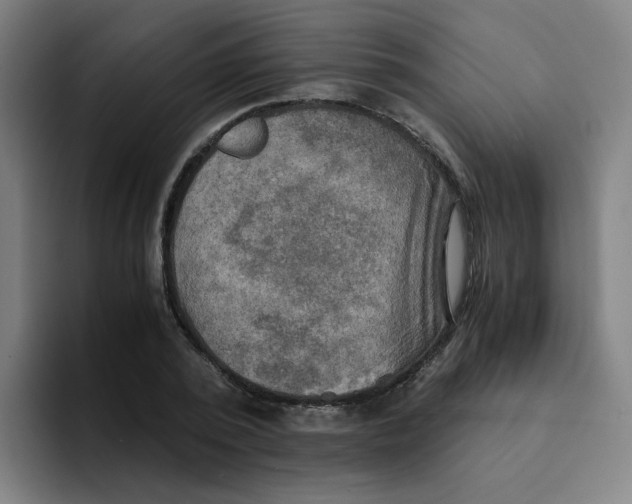 X0000094220784200711161848