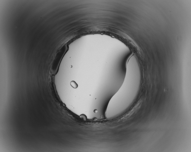 X0000094220785200711161848