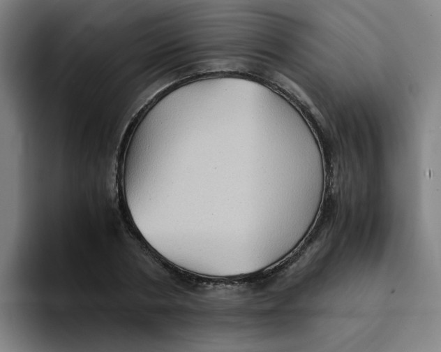 X0000094220786200711161848