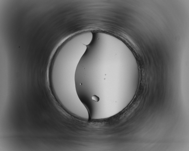 X0000094220788200711161848