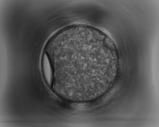 X0000094220791200711161848