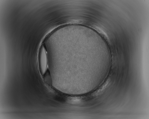 X0000094220792200711161848