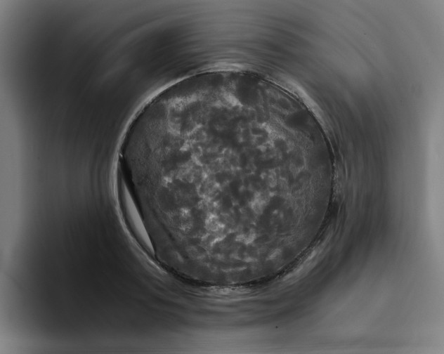 X0000094220795200711161848