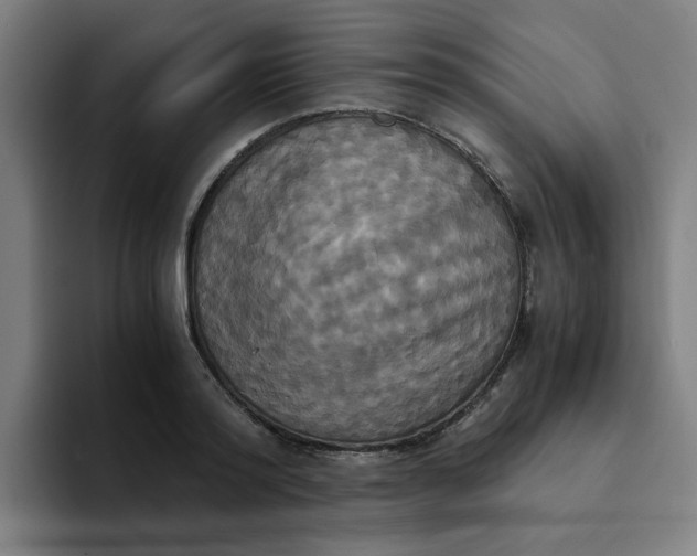 X0000094220796200711161848