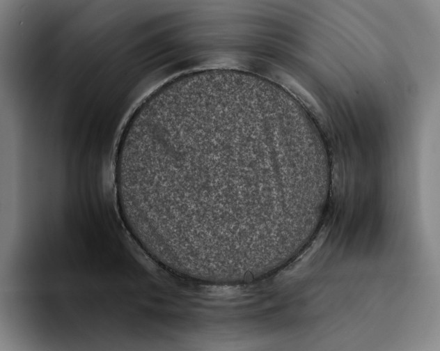 X0000094220800200711161848