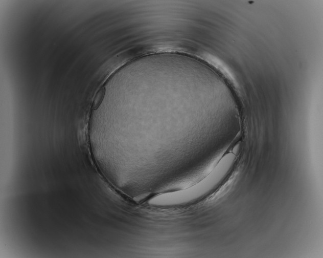 X0000094220801200711161848