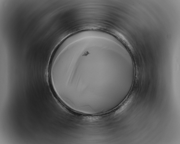 X0000094220802200711161848