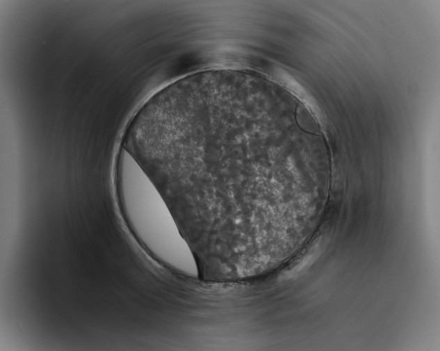 X0000094220803200711161848