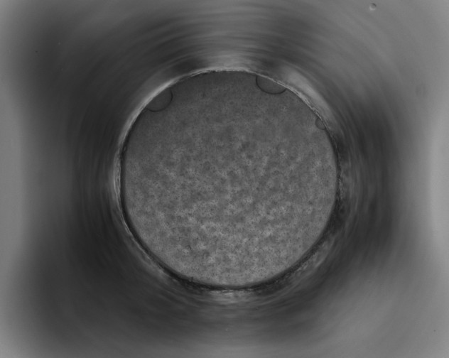 X0000094220804200711161848