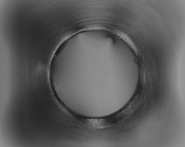 X0000094220805200711161848