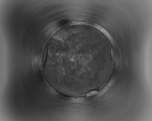 X0000094220809200711161847