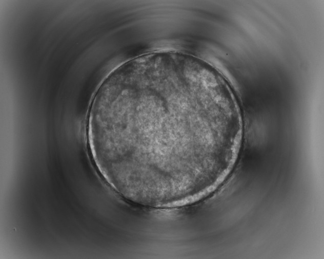 X0000094220810200711161847